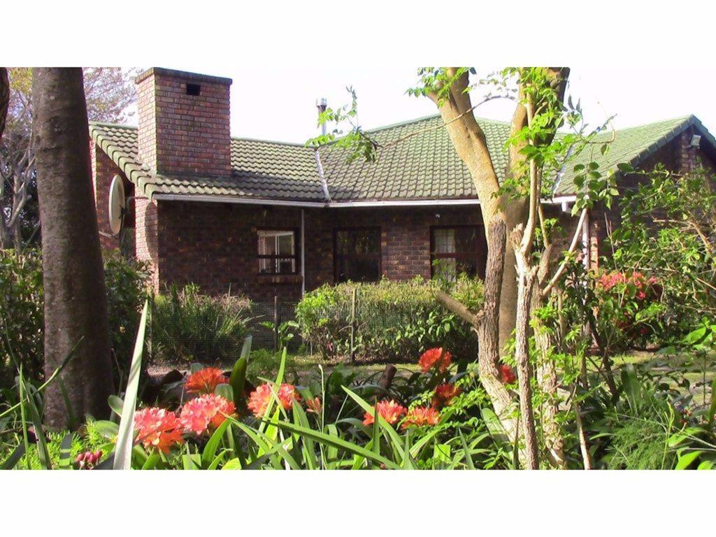 Forest Nest Cottage, Tsitsikamma 스톰스리비에르 외부 사진
